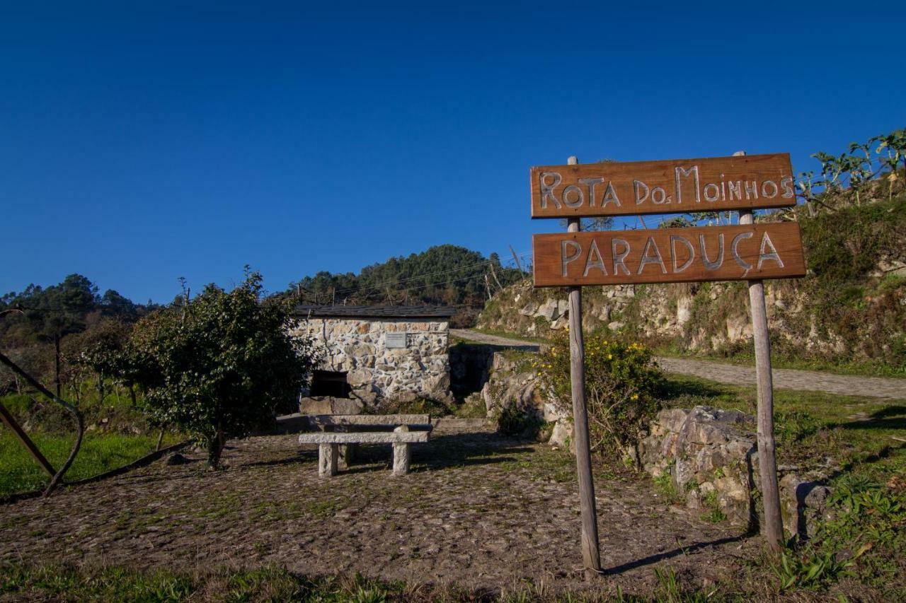 Cabanelas Country House - Casa Do Afonso Vale de Cambra Exterior foto